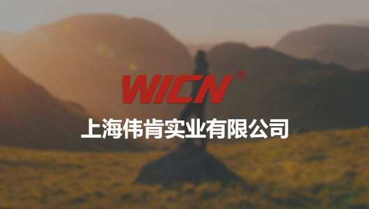 上海偉肯實業(yè)有限公司